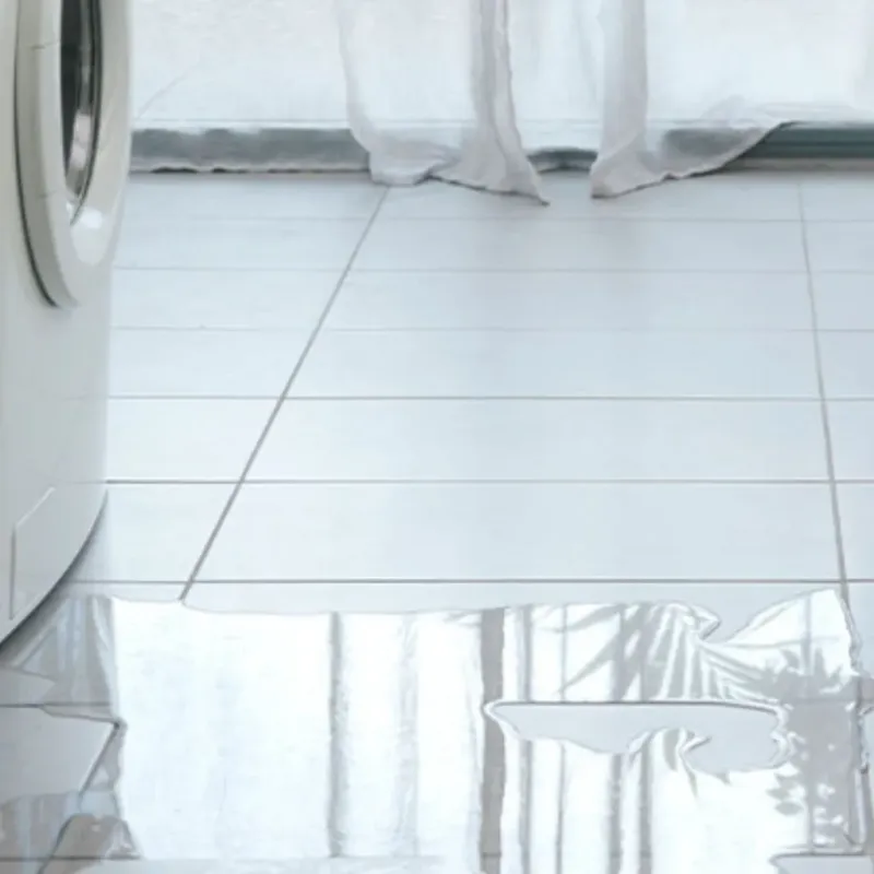 Appliance Leak Cleanup in La Crosse, WI
