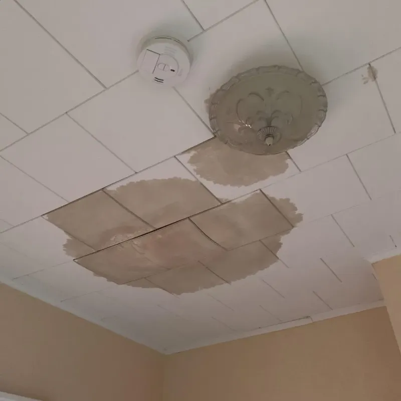 Ceiling Water Damage Repair in La Crosse, WI