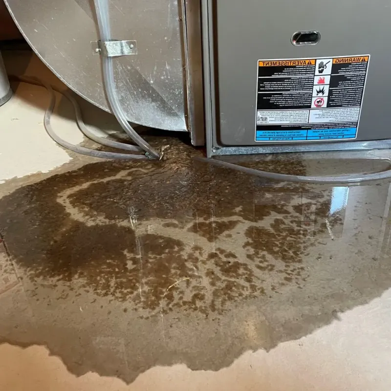 Pipe Burst and Leak Restoration in La Crosse, WI
